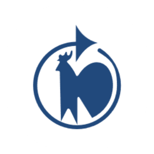 HAHN Gasfedern GmbH